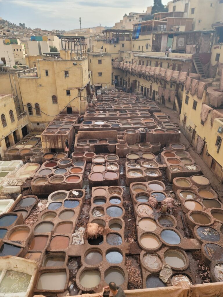 whatsapp image 2026 03 19 at 17.53.54