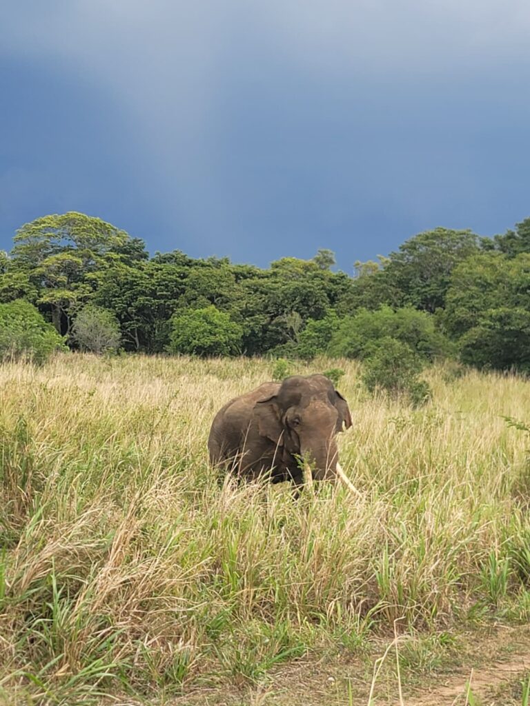 whatsapp image 2026 03 19 at 17.54.19 (2)