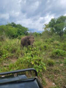 whatsapp image 2026 03 19 at 17.54.20 (1)