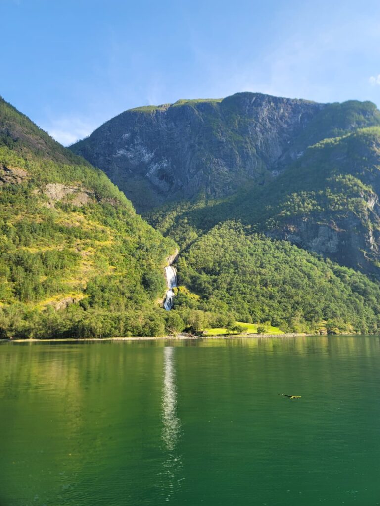 whatsapp image 2026 03 19 at 17.54.24